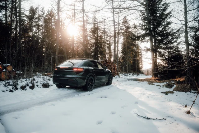 Macan seitlich im Schnee bei Gegenlicht