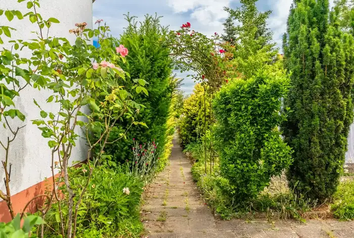 Gepflegter Gartenweg mit sauber geschnittenen Hecken nach der Gartenpflege durch Gschafft